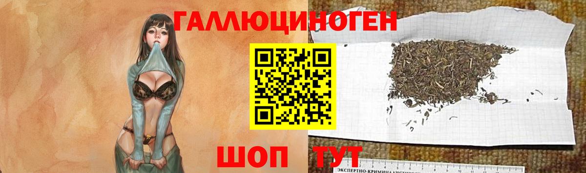 Батайск  Галлюциногенные грибы Psilocybe  наркошоп  Вход с VPN 